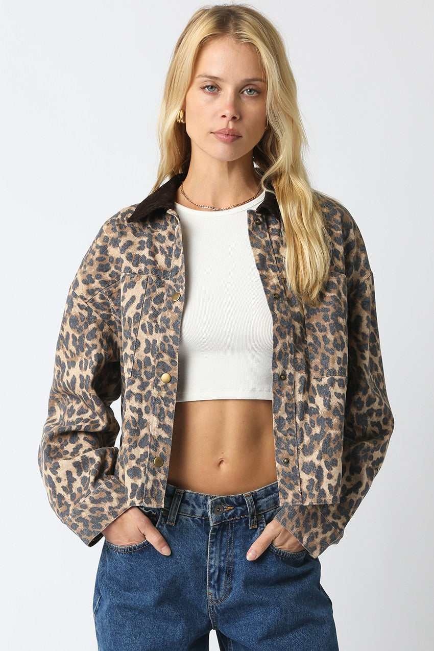 Modish leopard jacket